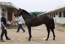 ��·�Ű (RAON ROCKY) ����