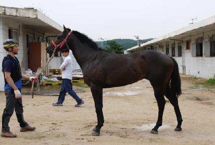 ��·�Ű ����