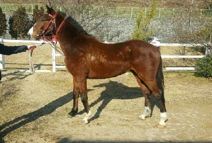 �ְ�����Ʈ ����