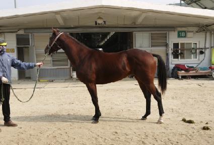 ���� ����