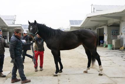 ���±�� ����