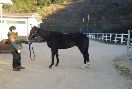 ���ո��� ����