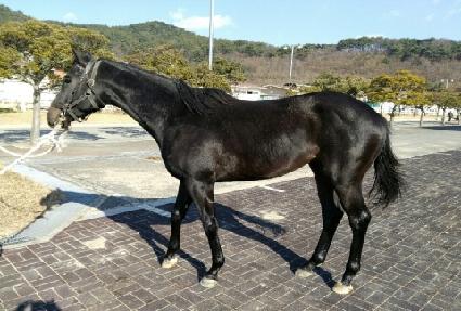 �¸����丮 ����