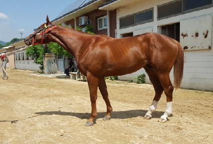 ����¾� ����