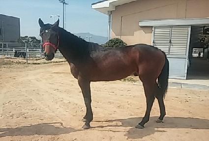 �ݰ���� ����