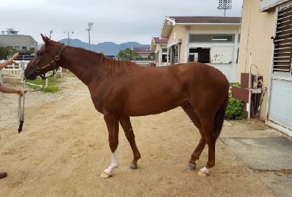 ����� ����