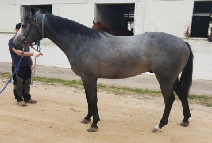 �����ö��� ����