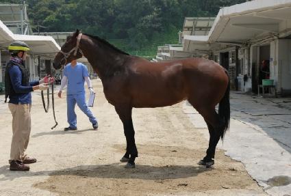 �򸶸� ����