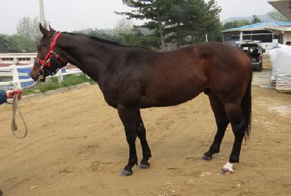 �ο���ȭ ����