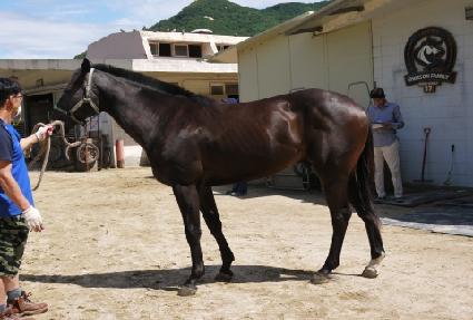 ����� ����