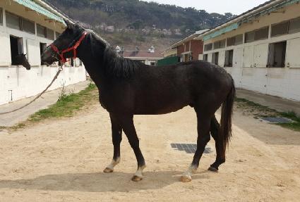 �����ǻ��̸� ����