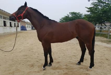 �����Ż� ����