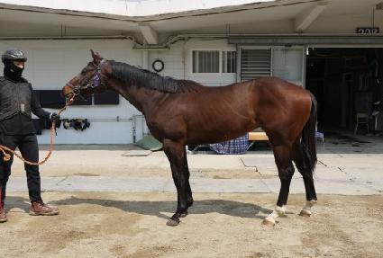 �ٽɶ���Ʈ ����