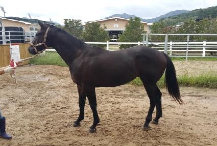 ������ ����