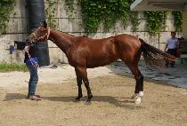 CHOWON YEOJEONSA picture