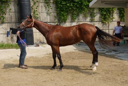 �ʿ������� ����