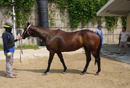 ��õ���� ����