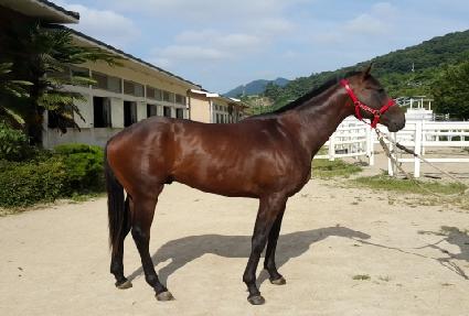 ���ƿ±��� ����