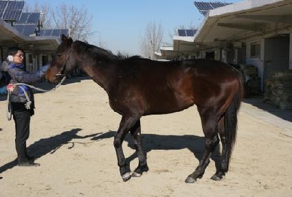 ���Ŭ�ι� ����