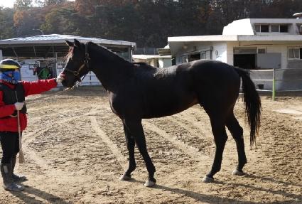 ���̴������� ����