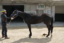 ���Ǿ� (SUPIA) ����