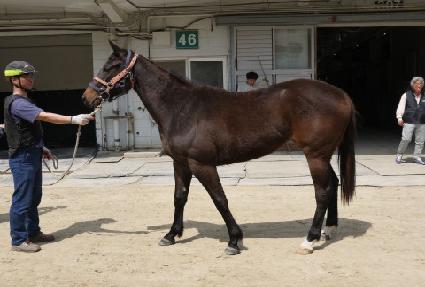 �ο������� ����