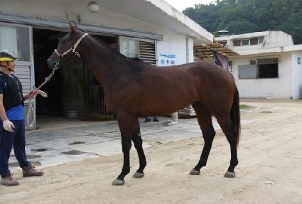 ����� ����