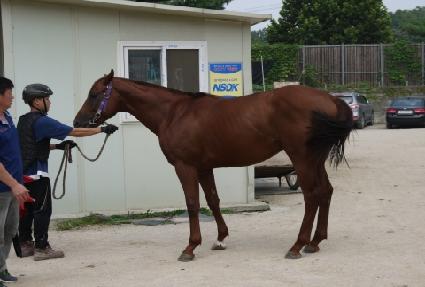 ���������� ����