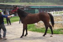 ������߾� (USEUNGUI CHUEOK) ����