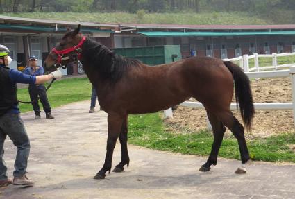 ������߾� ����