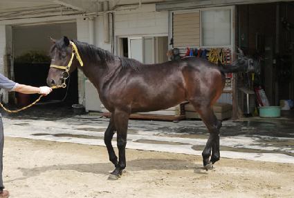 ���Ǵ��� ����