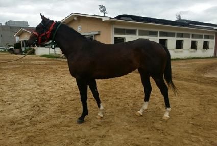 �׸��׸� ����