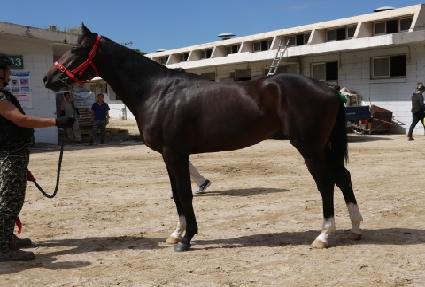 �̱׷���� ����