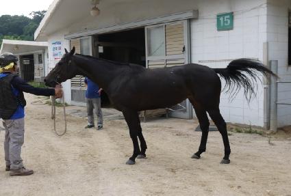 �ָ���� ����