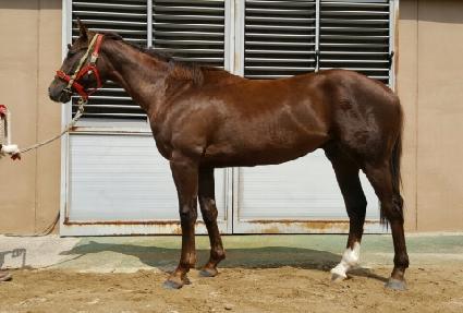 ����Ʈ���� ����