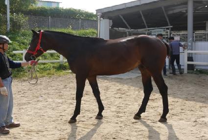 �ݺ��׿� ����