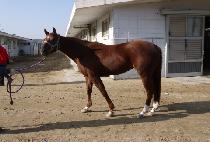 �۽�Ƽ�� (FIRSTIGE) ����