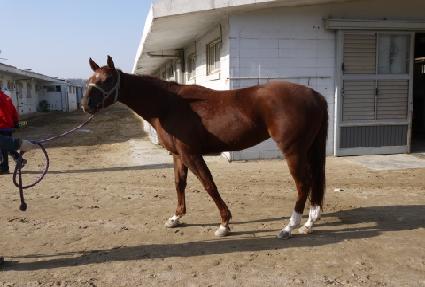 �۽�Ƽ�� ����