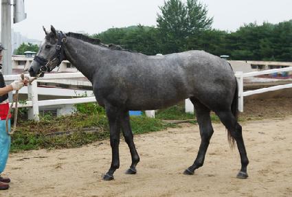 ƼŸ�Ͼ� ����