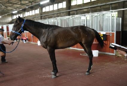 Ư����Ÿ ����