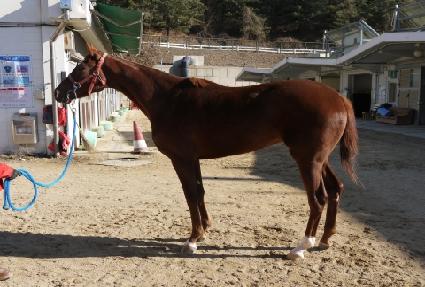 �ö��׷��̵� ����