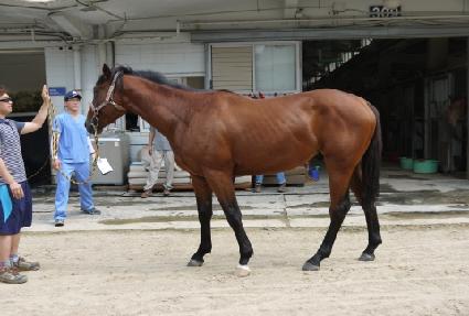 ��º�� ����