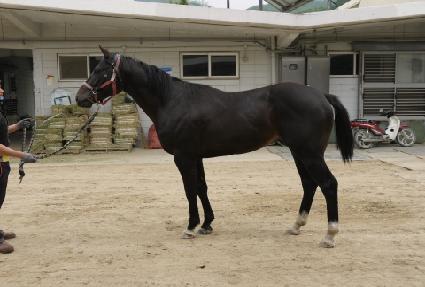 ���ο�� ����