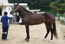 �޴���ũ (MENI PARK) ����