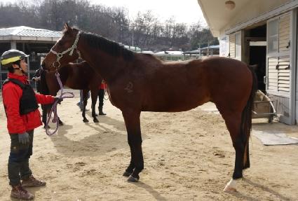 ������Ÿ ����