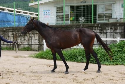 �������� ����