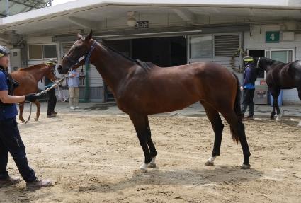 �����帲 ����