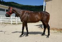 TAEYANGUI SINHWA picture