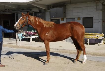 �һ���� ����