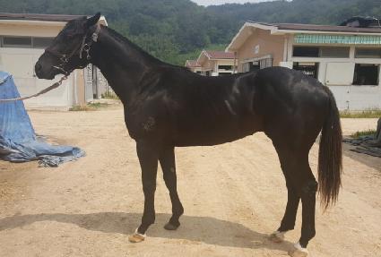 �����ĸ� ����